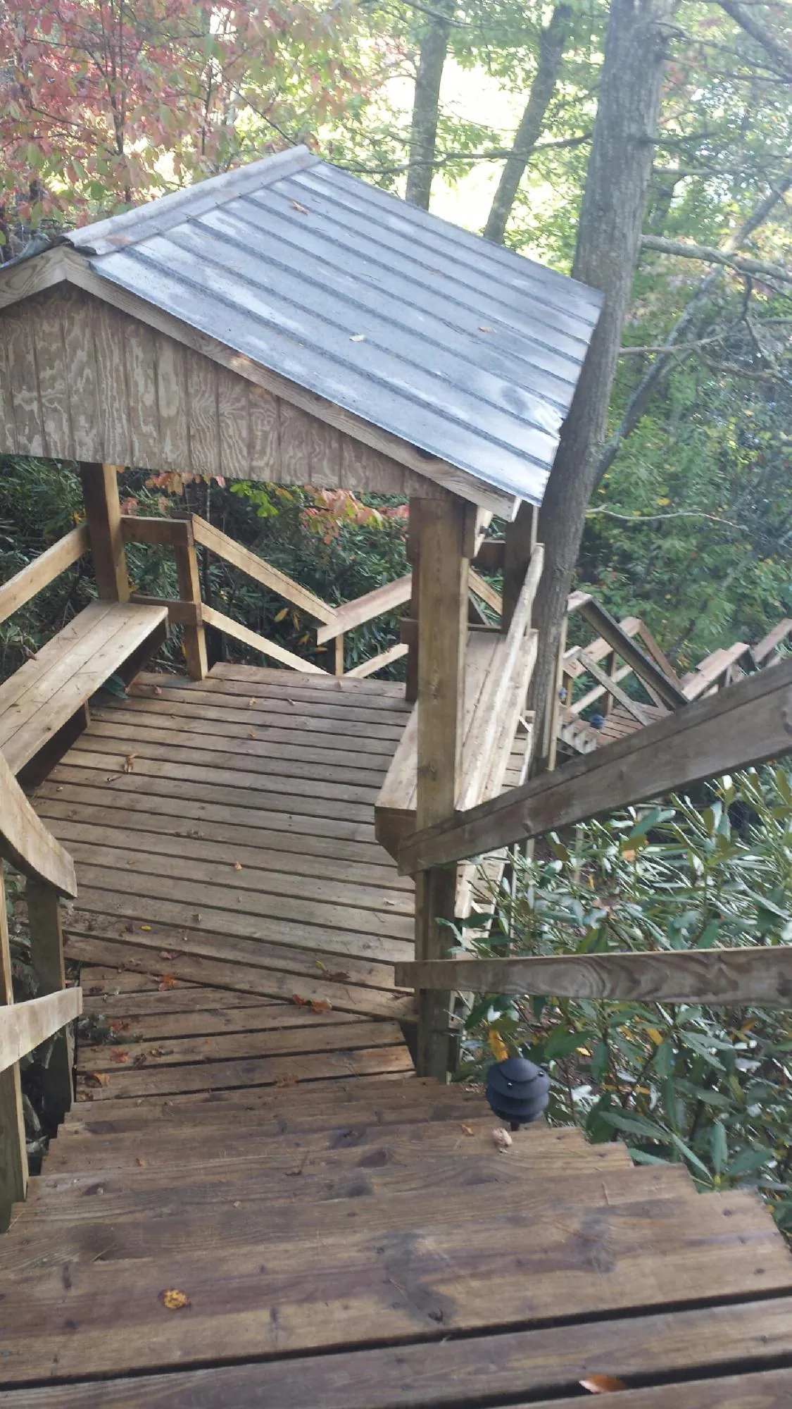 Metal roofed shelter over wooden steps on a wooded walkway — Skylight Repair & Installation work by our crew in Nelson